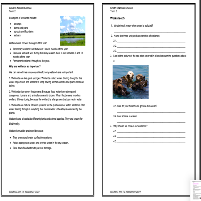 grade 6 natural sciences term 2 booklet teacha