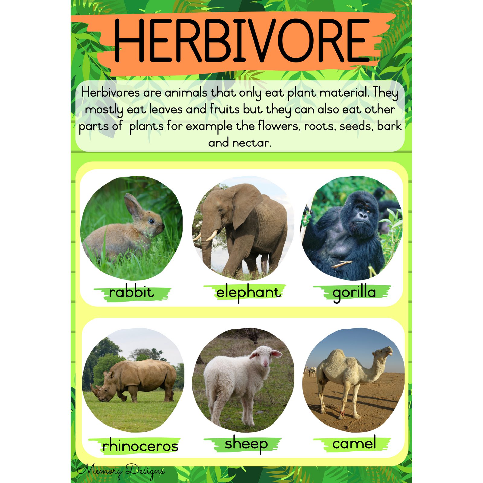 Herbivore Carnivore and Omnivore • Teacha