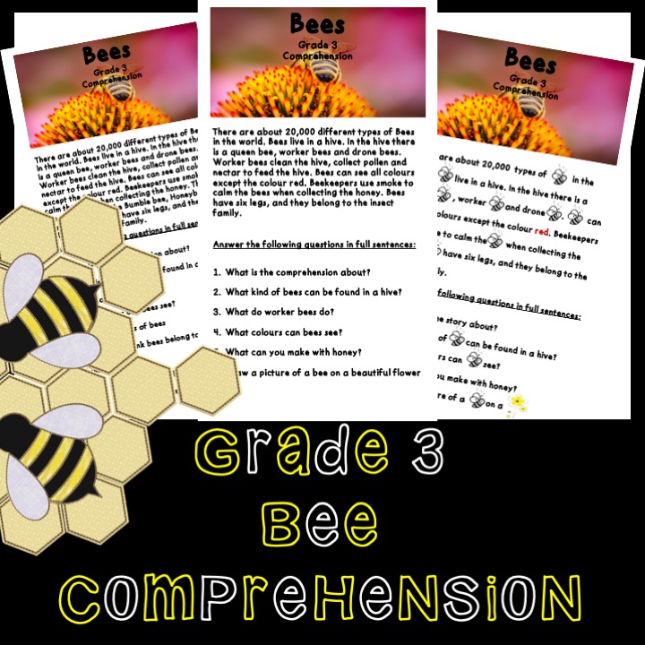 Bee Comprehension Grade 3 • Teacha