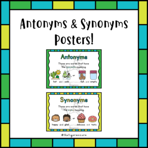 Antonyms & Synonyms Posters (with bonus activity!) • Teacha!