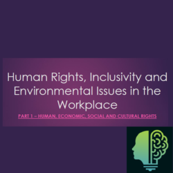 Grade 12 Term 3 – Human Rights, Inclusivity and Environmental Issues in ...