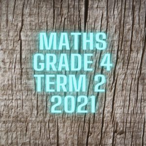 Maths Grade 4 Term 2 2021 Investigation • Teacha!