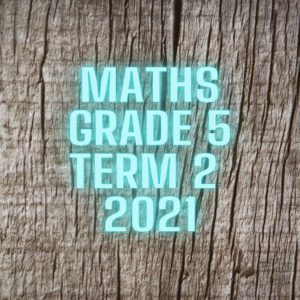 Maths Grade 5 Term 2 2021 Test • Teacha!