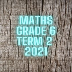 Maths Grade 6 Term 2 2021 Investigation • Teacha!