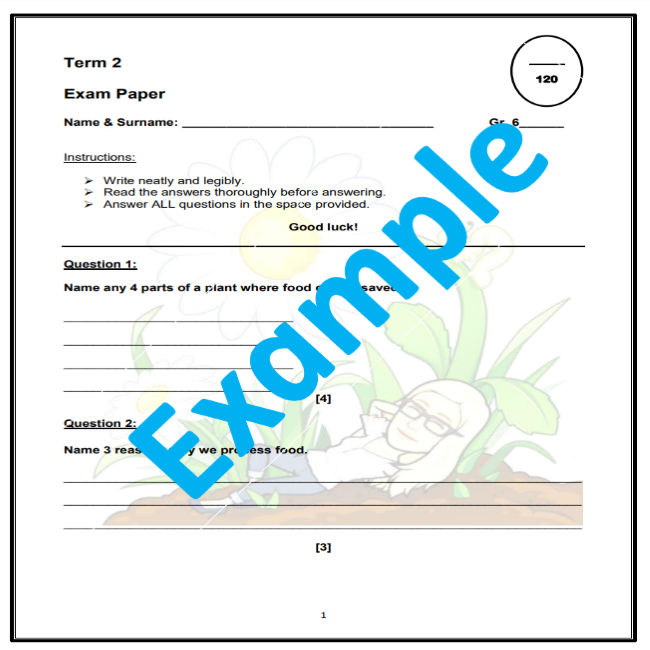 natural sciences and technology exam paper term 2 grade 6 teacha