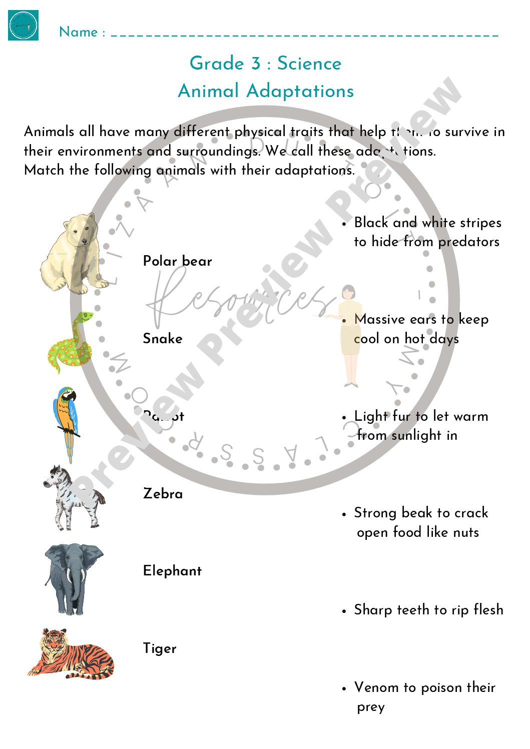 grade 3 science animal adaptations teacha