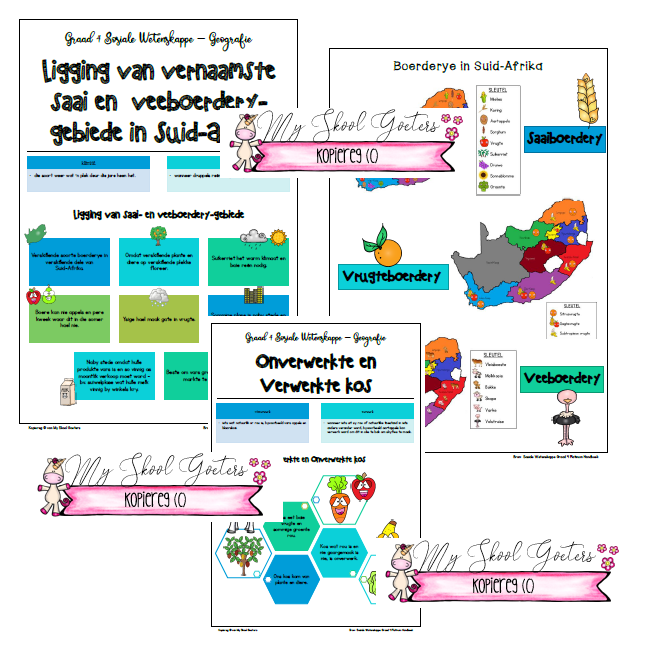 Graad 4 Geografie Opsommings Kwartaal 3 Platinum Handboek • Teacha