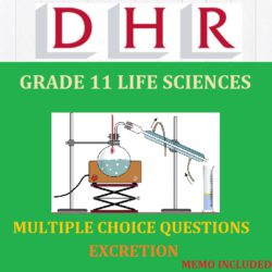 life science grade 11 essay questions