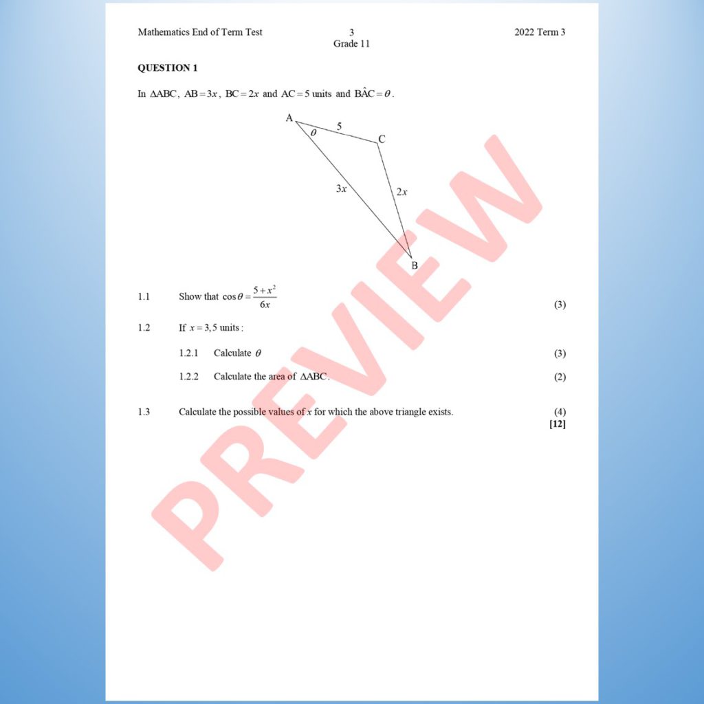 mathematics grade 11 assignment 2022 term 3