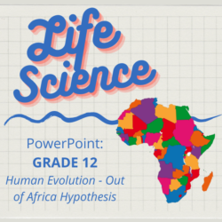 out of africa hypothesis essay grade 12