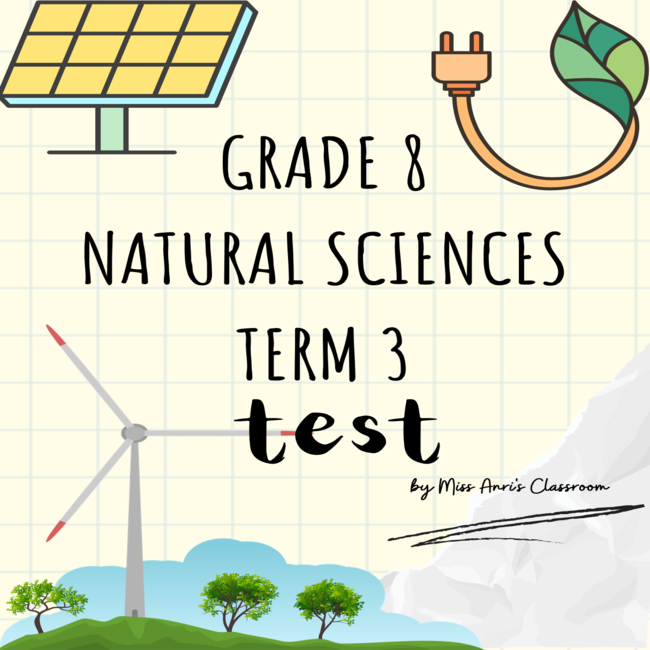 grade 8 assignment term 3