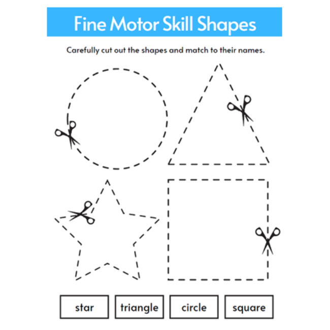 Practice cutting and tracing • Teacha!