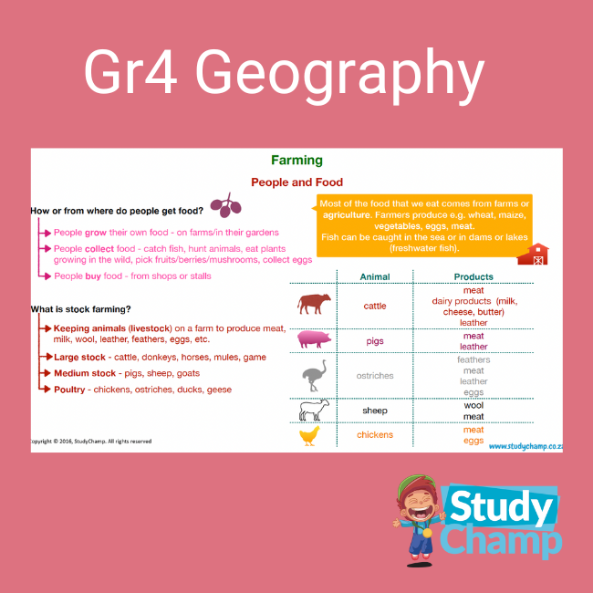 Grade 4 Geography Summary Farming Teacha 