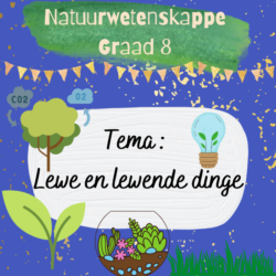 Natuurwetenskappe Graad 8 Opsommings – Lewe en Lewende dinge • Teacha!