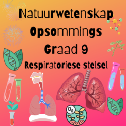 Natuurwetenskap Graad 9 Opsomming Menslike Asemhalingstelsel • Teacha!