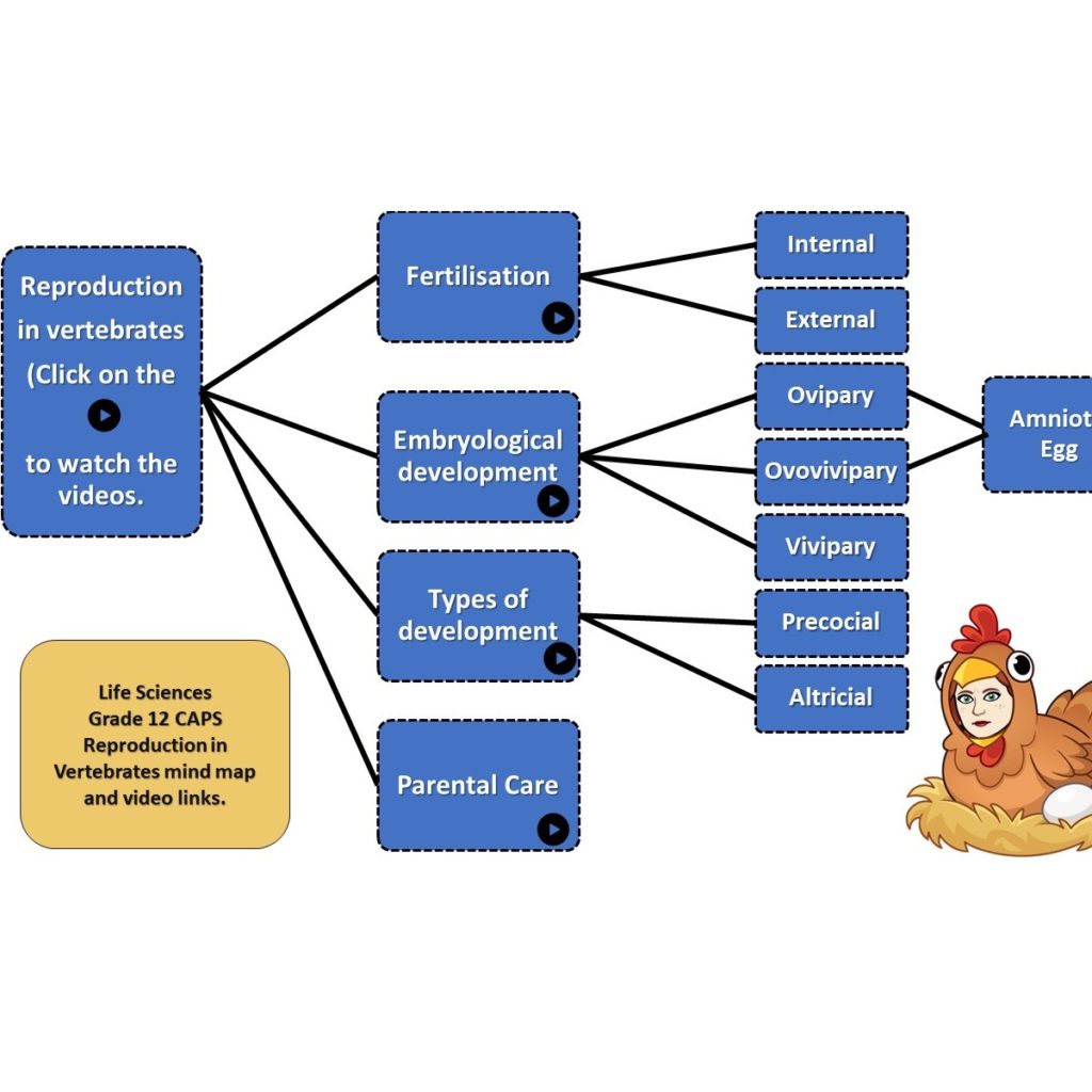 Reproduction In Vertebrates Mind Map And Video Links Teacha   65147 Reproduction In Vertebrates Min Map And Video Links 1024x1024 