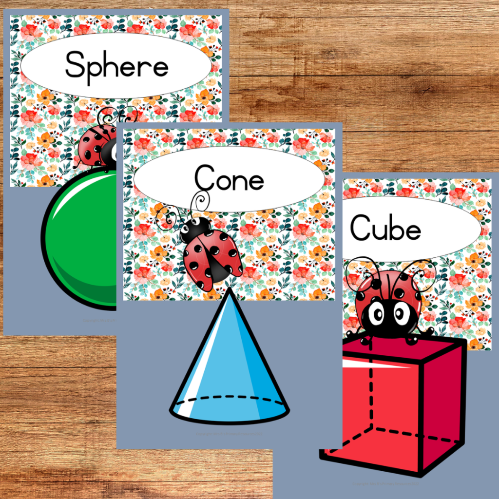 Ladybird 3D shapes charts • Teacha!