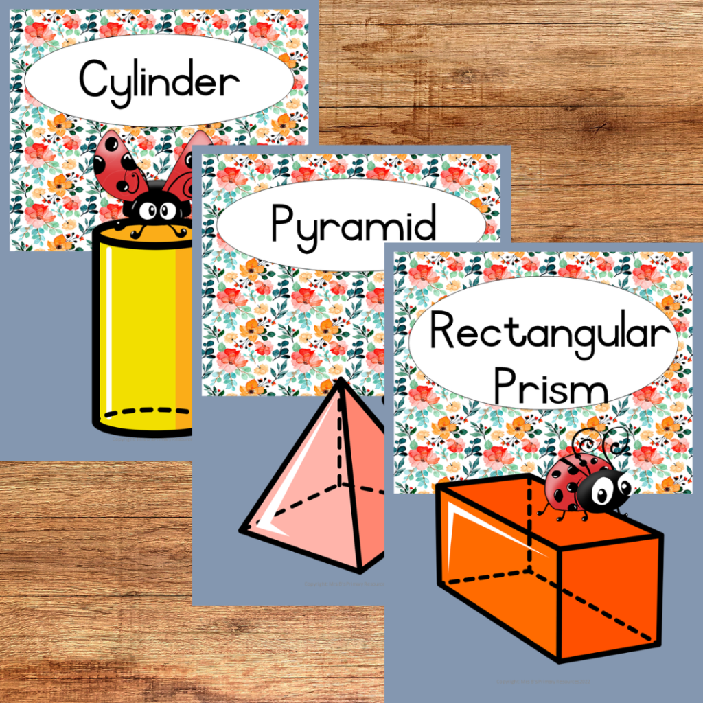 Ladybird 3d Shapes Charts • Teacha!