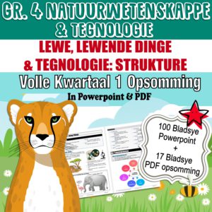 Gr.4 Afrikaans Huistaal Kwartaal 2 Powerpoint Skyfievertoning En PDF ...