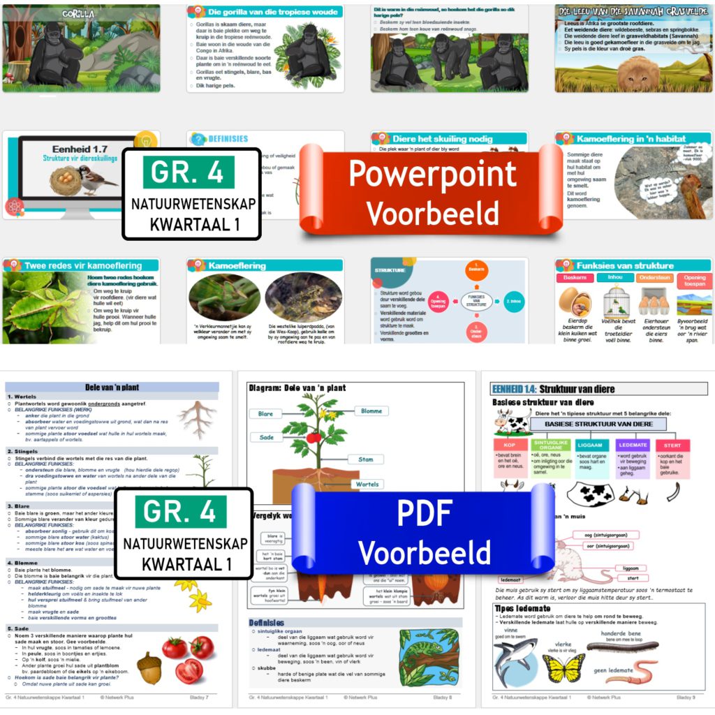 Graad 4 Natuurwetenskappe Volledige Kwartaal 1 Opsommings In Powerpoint ...