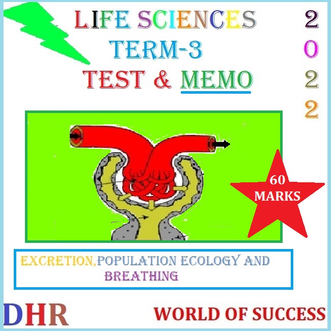 life science grade 11 assignment september 2017 memorandum