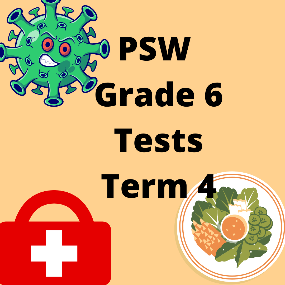 Personal And Social Wellbeing Grade 6 Test Term 4 Teacha 