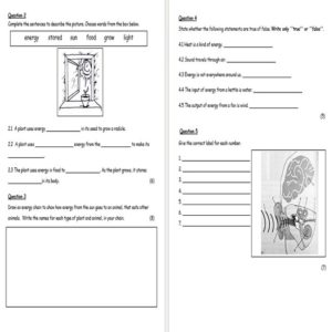 Natural Science And Technology Grade 4 Term 3 Examination And ...