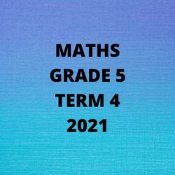 Maths Grade 5 Term 4 2021 Control Test • Teacha!