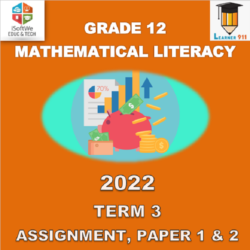 maths literacy grade 12 assignment 2021 term 3