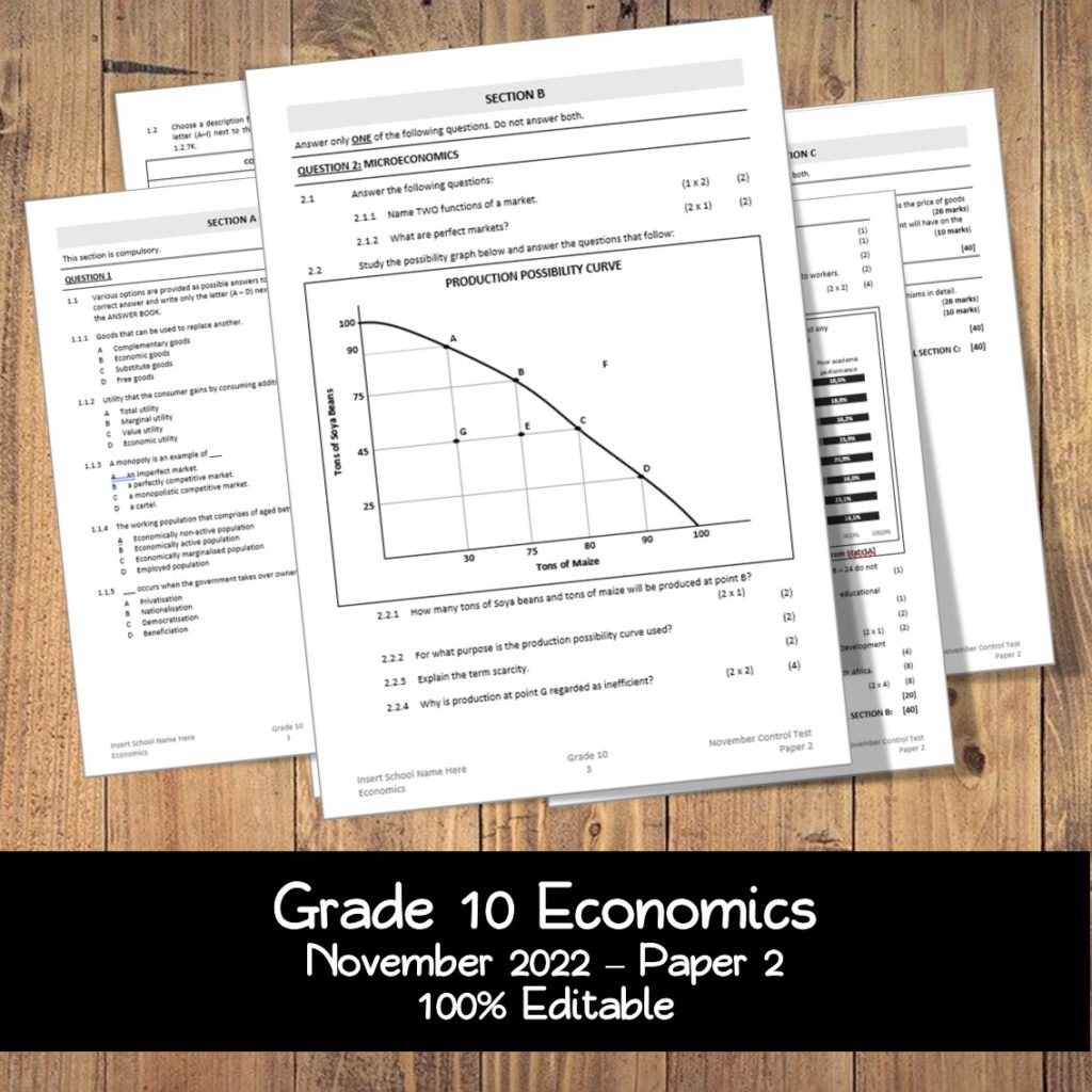 economics essay grade 10 term 3 pdf