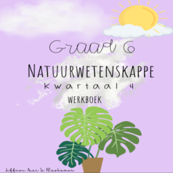 Graad 6 Natuurwetenskappe Kwartaal 4 werkboek • Teacha!