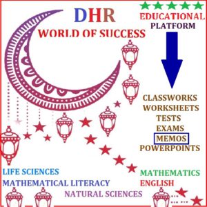 grade 11 english fal literature assignment memorandum