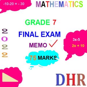 GRADE 7 MATHEMATICS FINAL EXAMINATION AND MEMORANDUM (NOVEMBER 2022 ...