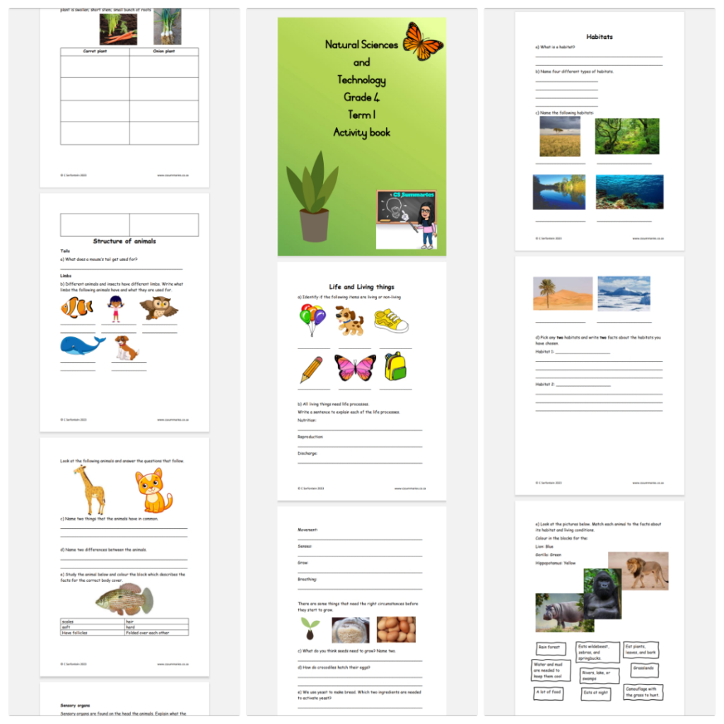 Natural Science And Technology Grade 4 Activity Book Term 1 • Teacha!