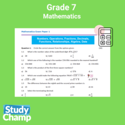 Grade 7 Mathematics Exam Revision: Paper 1 • Teacha!