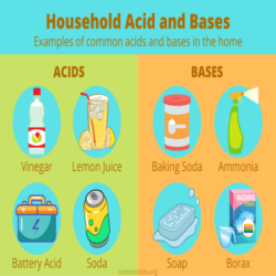 Grade 9 Acids and bases in animated PowerPoint. • Teacha!