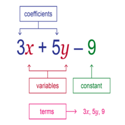 Grade 10 Maths: Algebraic expressions in animated PowerPoint. • Teacha!