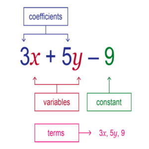 Grade 10 Maths: Algebraic expressions in animated PowerPoint. • Teacha!