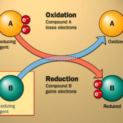 Grade 11 Redox reactions in PowerPoint. • Teacha!