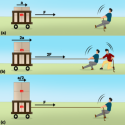 Grade 12 Newton’s 2nd law in relation to change in momentum in ...