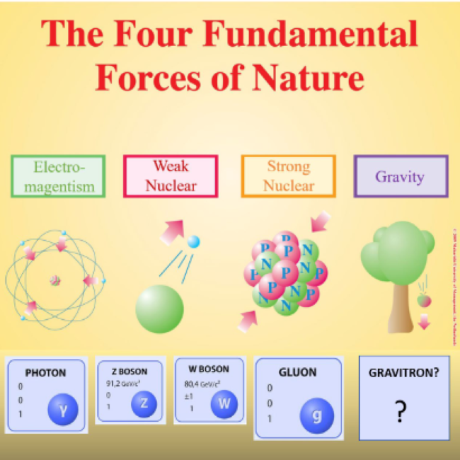 grade-11-forces-in-powerpoint-teacha