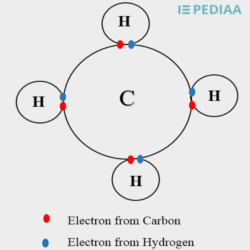 Grade 10 Chemical bonding in animated PowerPoint. • Teacha!