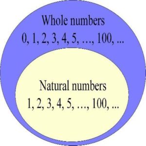 Grade 4 Maths: Whole numbers in animated PowerPoint. • Teacha!