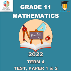 mathematical literacy grade 11 assignment pdf 2023 term 3