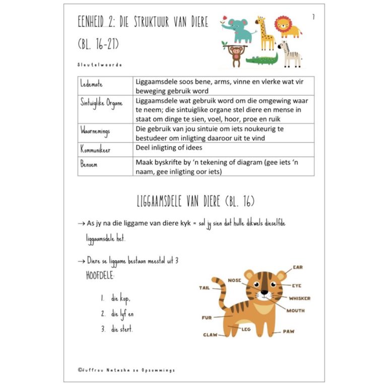 Graad 4 Natuurwetenskap & Tegnologie Kwartaal 1 Opsommings • Teacha!