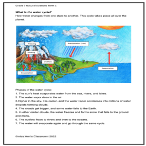 Grade 7 Natural Sciences term 1 workbook • Teacha!