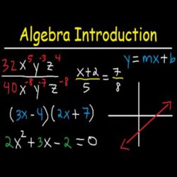 Grade 4 Maths: Space and shape, numbers patterns and algebra in ...