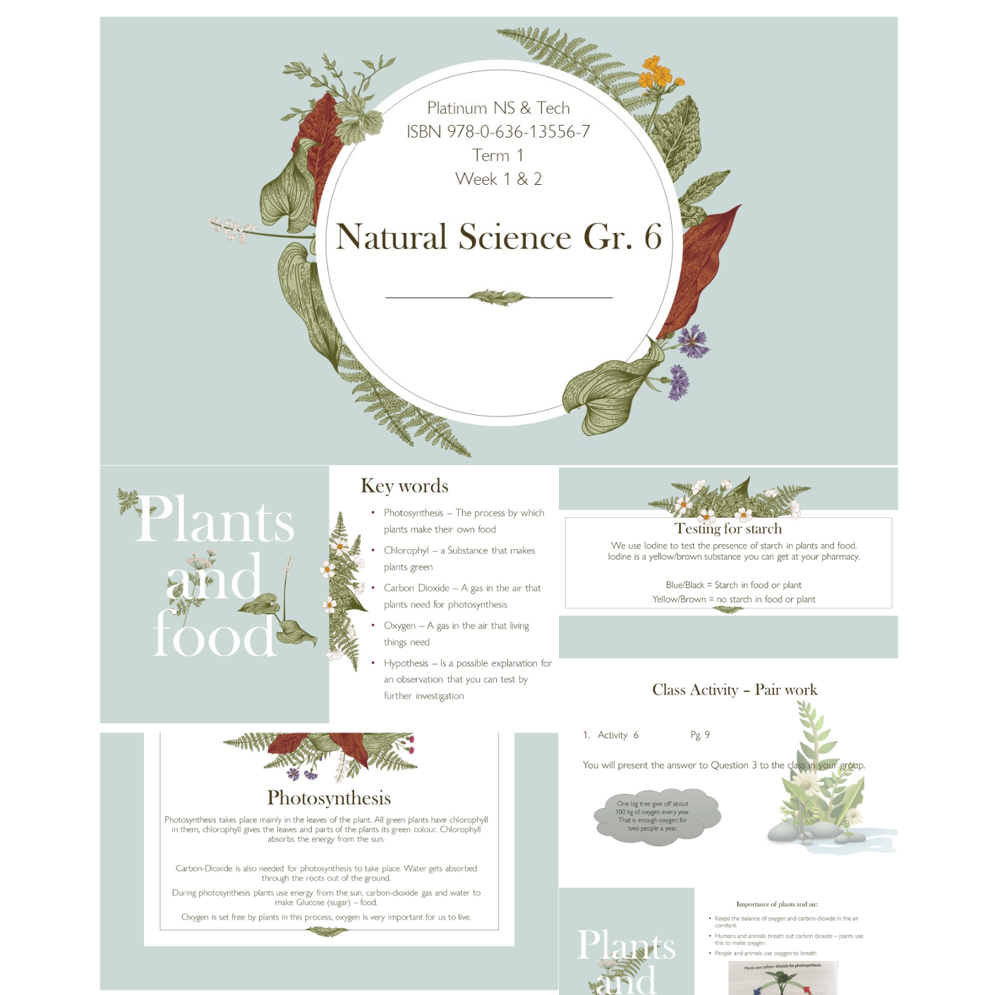 grade-6-natural-science-platinum-learners-book-powerpoint-topic-1