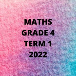 grade 4 maths assignment term 1 2022