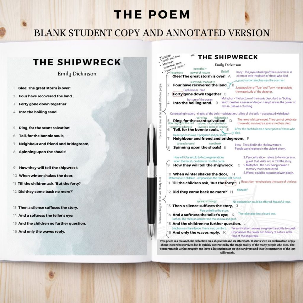 the shipwreck by emily dickinson poetry essay